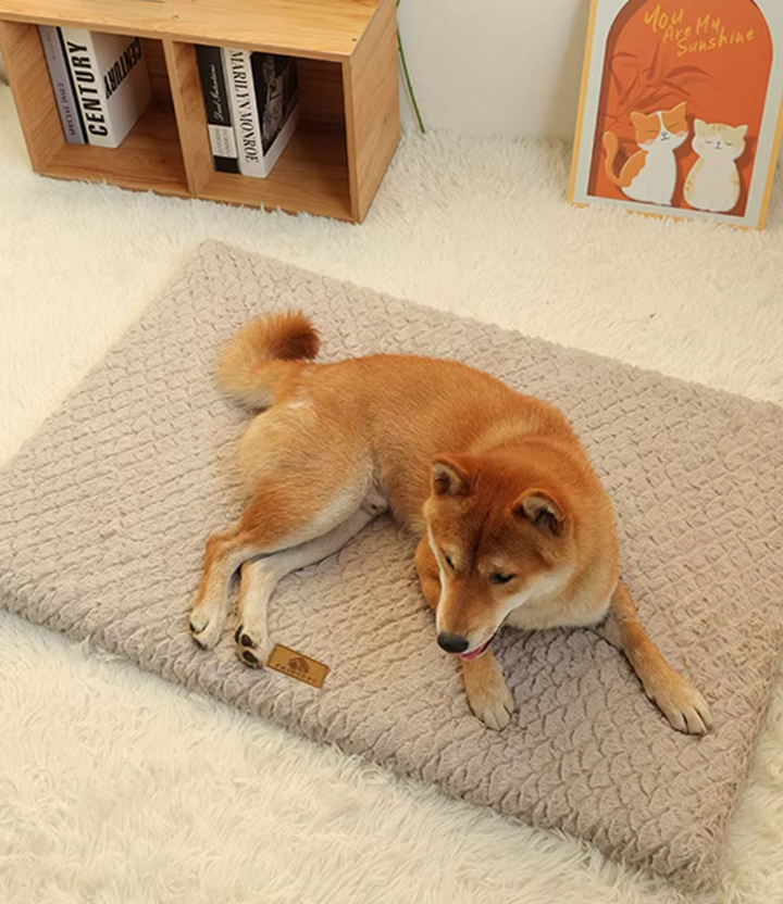 Kuschelige orthopädische Haustiermatte aus Plüsch; waschbar & bietet erholsamen Schlaf für Hunde & Katzen.