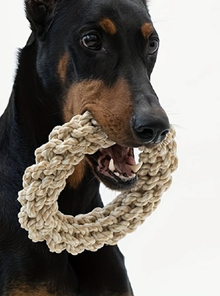 Robustes Baumwollseil Kauring Hundespielzeug für Zahnpflege und interaktives Spiel.