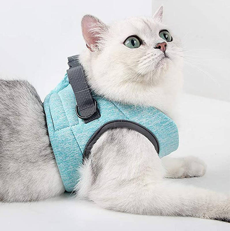 Weiches, atmungsaktives Haustiergeschirr für Katzen, komplett mit robuster Leine für sichere Ausflüge.