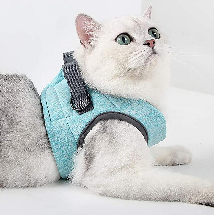 Weiches, atmungsaktives Haustiergeschirr für Katzen, komplett mit robuster Leine für sichere Ausflüge.