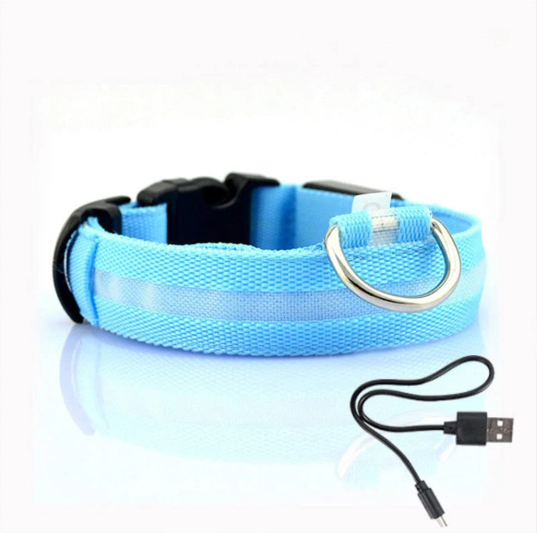 Helles LED-Hundehalsband für maximale Sichtbarkeit. Ermöglicht sichere Spaziergänge in der Nacht und bei schlechtem Wetter.
