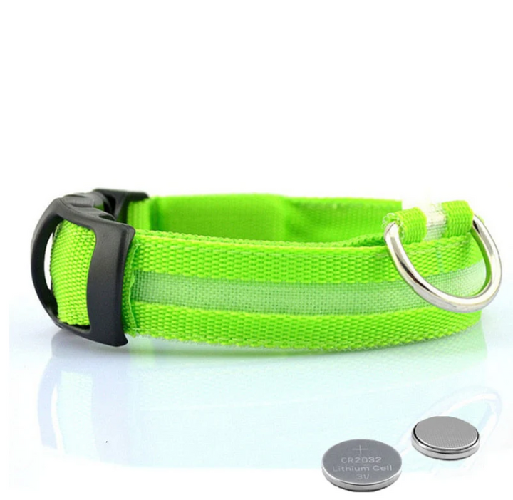 Robustes LED-Hundehalsband in Rot für mehr Sicherheit im Dunkeln. Perfektes Leuchthalsband für aktive Hundehalter.
