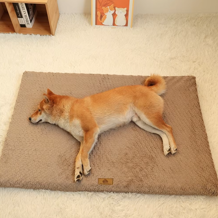 Orthopädisches Hundebett: Weiches, flauschiges Hundebett für maximalen Komfort; ideal für Gelenkschonung bei Hunden & Katzen.