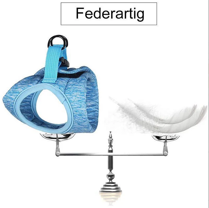 Komfortables, verstellbares Katzen-Sicherheitsgeschirr mit passender Leine; perfekt für aktive Entdecker.