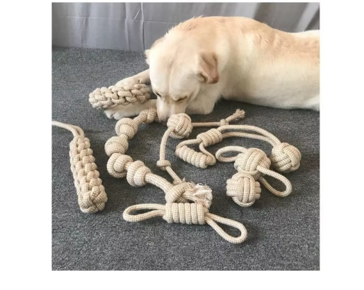 Langlebiges Hundespielzeug-Set für Kauspaß & Zahnpflege. Robuste Seile als Hundeartikel.