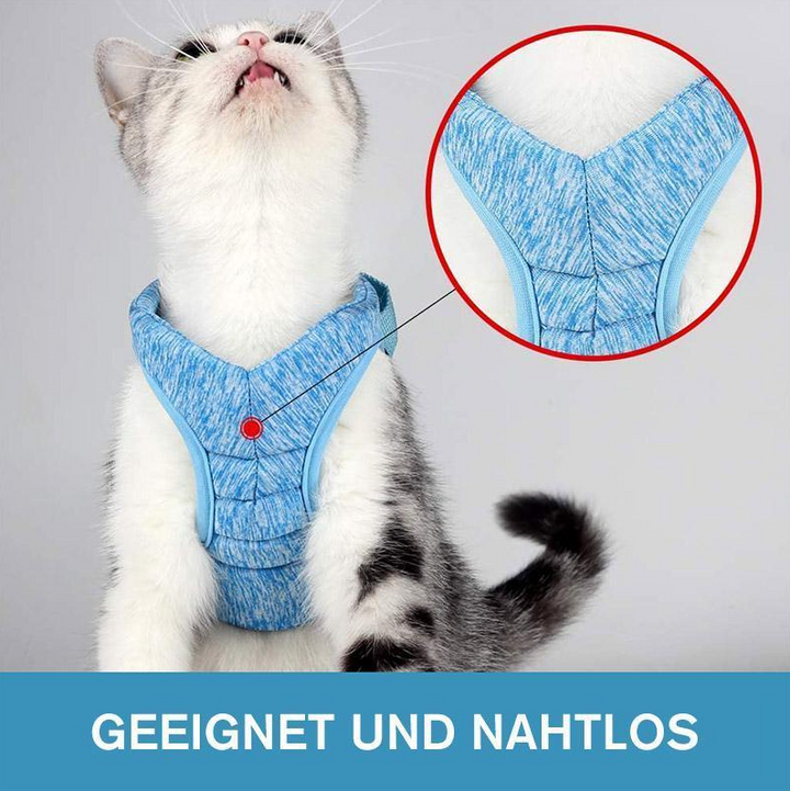 Modernes Katzengeschirr & Leinen-Set in Grau, speziell für komfortable und sichere Outdoor-Abenteuer.