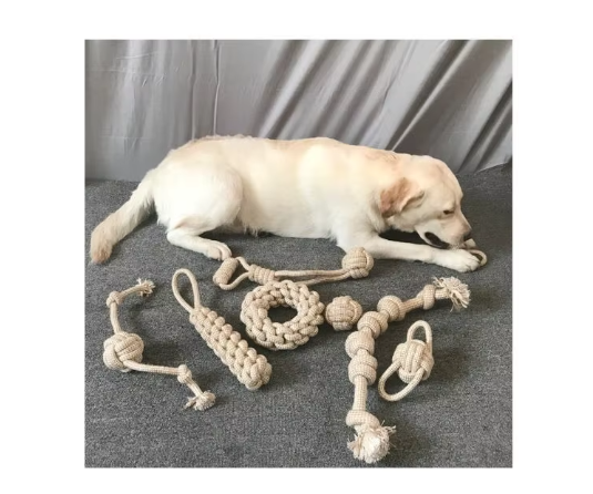 Robustes Kauspielzeug-Set für Hunde. Langlebiges Hundespielzeug zur Zahnpflege & Spielspaß.
