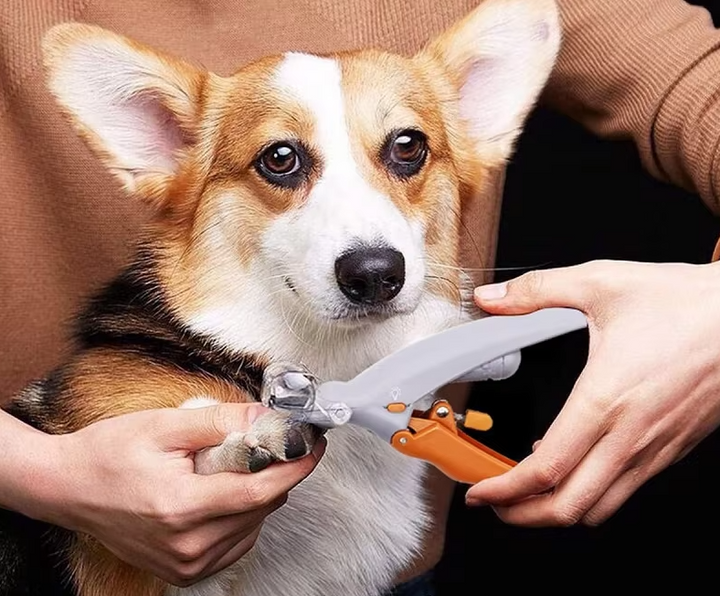 Grauer Haustier Krallenschneider mit LED-Licht und Lupe für präzise & sichere Hundekrallenpflege.
