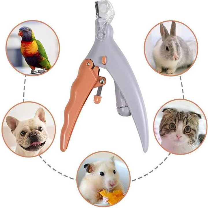 Professionelle Hundekrallenschere mit Lupe & LED für eine stressfreie und sichere Krallenpflege zu Hause.