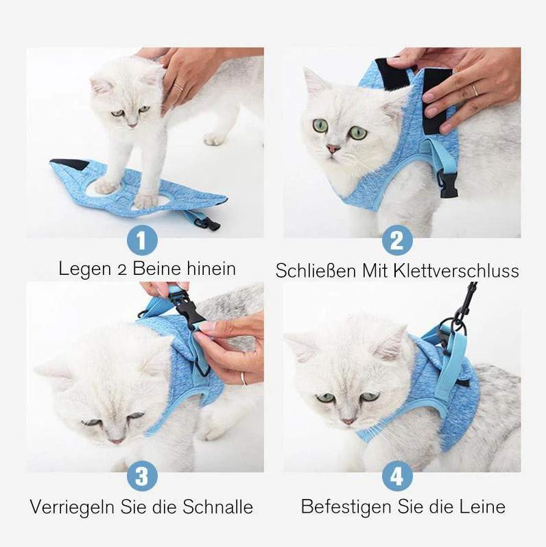 Detailaufnahme des strapazierfähigen Katzen-Leinengeschirrs mit Metallverschluss, bereit für den Einsatz.