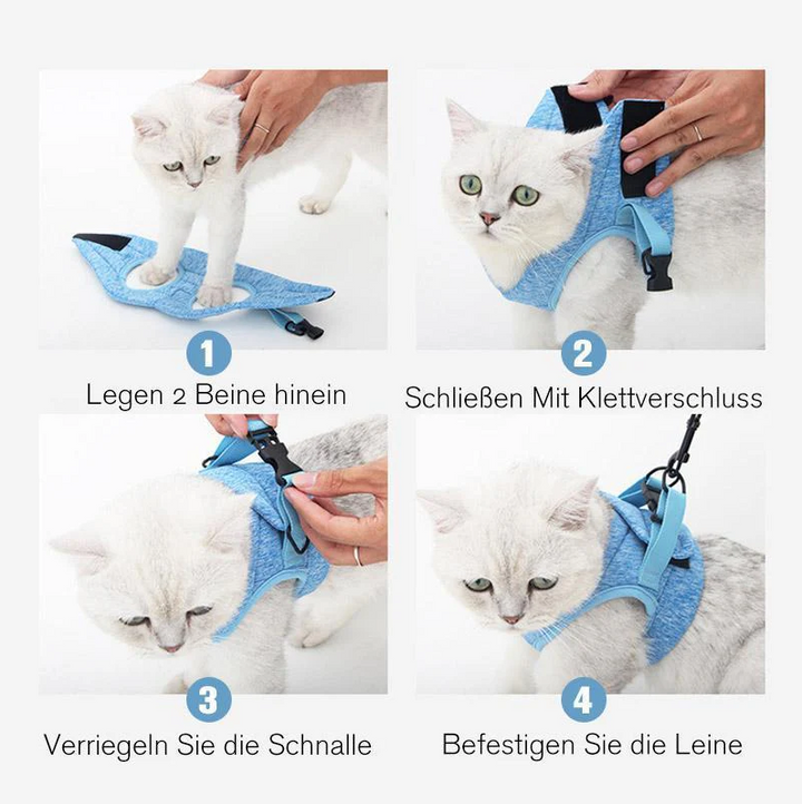 Detailaufnahme des strapazierfähigen Katzen-Leinengeschirrs mit Metallverschluss, bereit für den Einsatz.