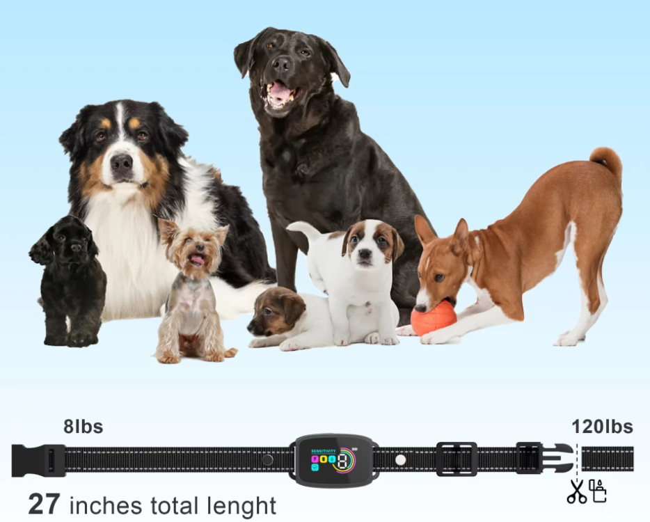 Modernes Erziehungshalsband für Hunde mit Fernbedienung, bietet effektives Training durch Vibration und Schock.