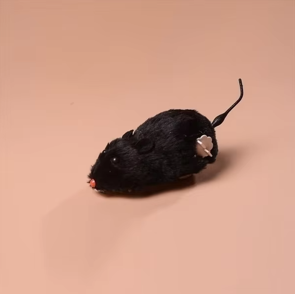 Automatisches Katzenspielzeug: Elektrische Rennmaus bewegt sich unvorhersehbar und fesselt Ihre Katze.