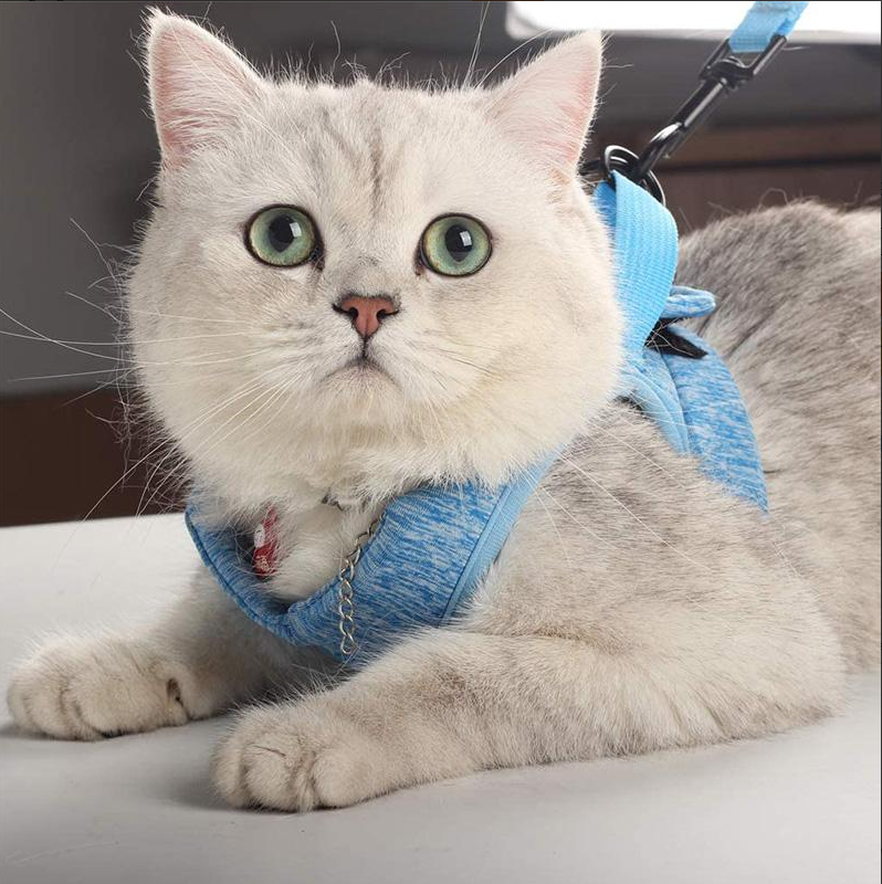 Das innovative Sicherheitsgeschirr für Katzen ist ausbruchsicher & bietet maximalen Komfort für Ihr Haustier.