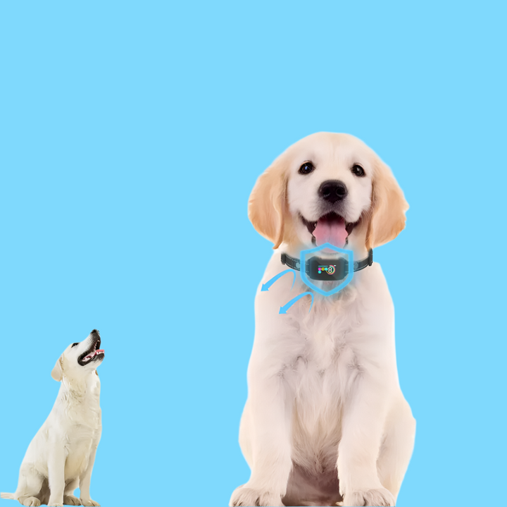 Hundetraining Halsband für effektive Verhaltenskorrektur, mit Vibration & Schockmodus, zur Hundeerziehung.