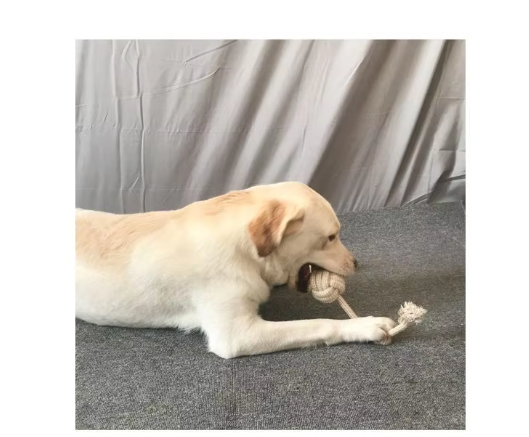 Vielseitiges Kauspielzeug-Set für Hunde. Seilspielzeug & interaktive Kauartikel für langanhaltenden Spaß.