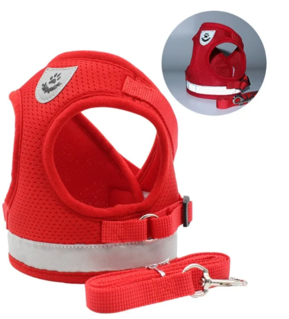 Sicheres Katzengeschirrset mit robuster Leine für entspannte Outdoor-Abenteuer Ihrer Katze.