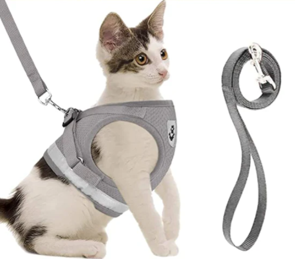 Komfortables Katzengeschirr & Leine, fördert sichere Spaziergänge und die Freude Ihrer Katze am Entdecken.