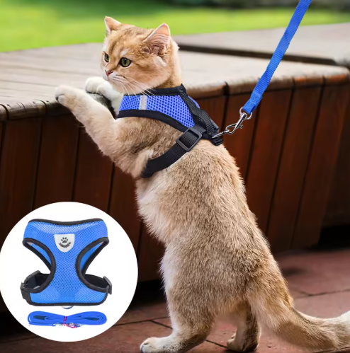 Katzen Geschirr & Leine Set für sichere Spaziergänge, verstellbar und atmungsaktiv.