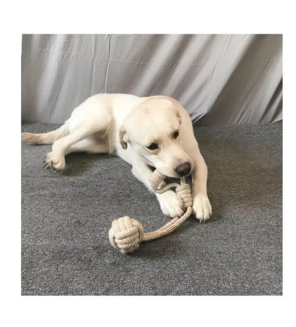 Kauspielzeug-Set für gesunde Zähne & Beschäftigung. Langlebiges Seilspielzeug als Hundeartikel.