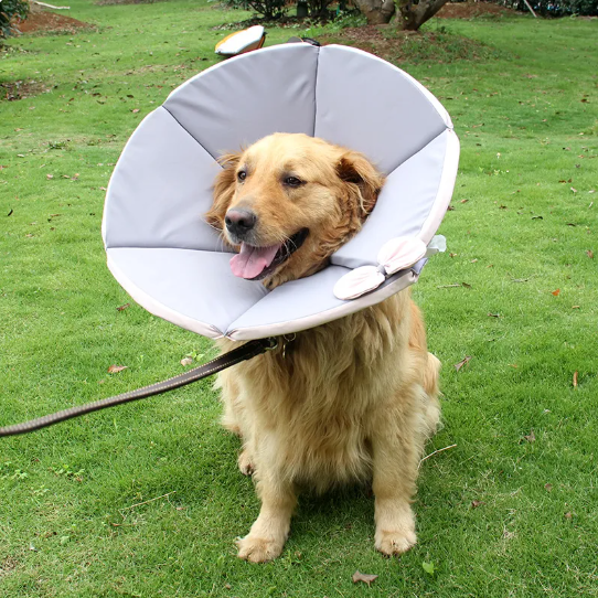 Schutz vor Lecken und Kratzen: Weicher Schutzkragen für Hunde, fördert ungestörte Heilung.