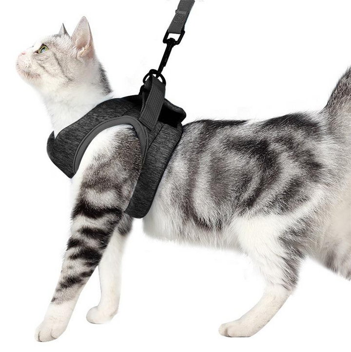 Vorderansicht des Katzen-Sicherheitsgeschirrs mit Leine; einfach anzulegen für schnelle Abenteuer draußen.