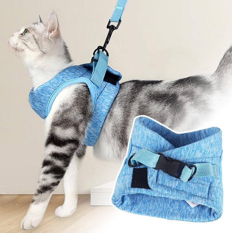 Das komplette Set: verstellbares Katzengeschirr und Katzenleine für sichere, entspannte Spaziergänge.