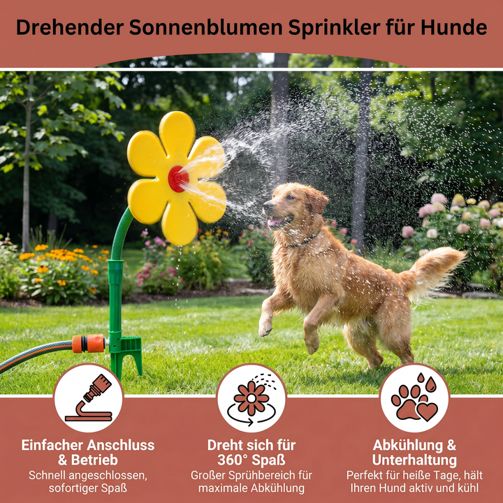 Glücklicher Hund erfrischt sich mit dem drehenden Sonnenblumen-Wasserspielzeug im Garten, ideal für Sommer.