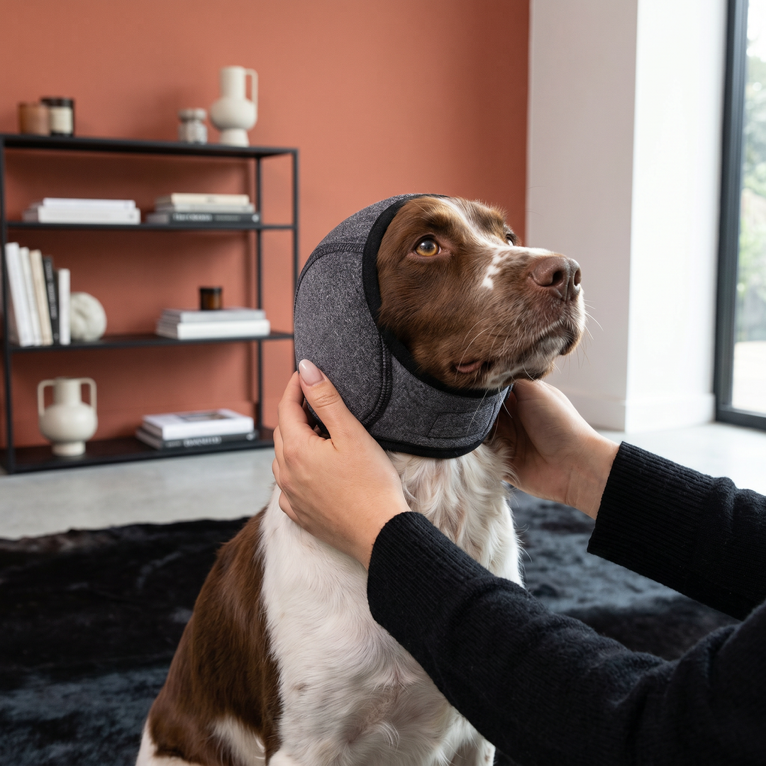 Hunde Ohrenschützer: Geräuschdämpfung & angstlösende Beruhigung für entspannte Haustiere.