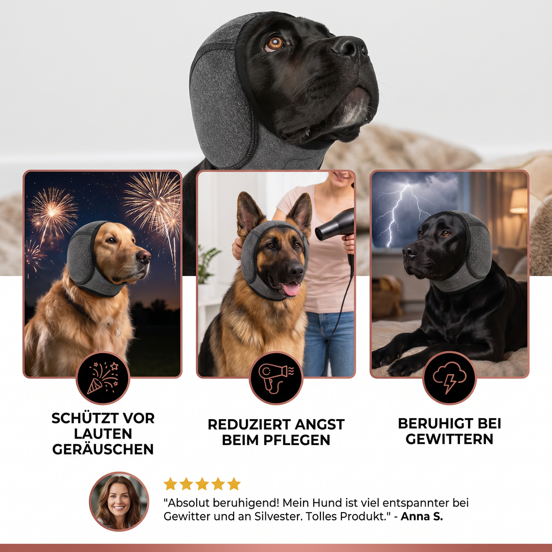 Welpen & Hunde Ohrenschutz: Geräuschdämpfung & angstlösende Beruhigung. Wichtiges Tierbedarf für Hundewohl.
