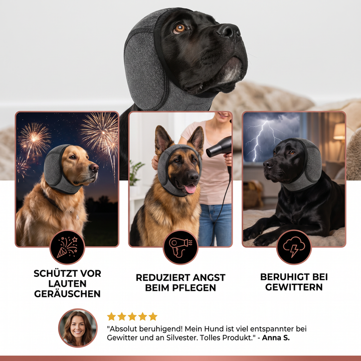 Welpen & Hunde Ohrenschutz: Geräuschdämpfung & angstlösende Beruhigung. Wichtiges Tierbedarf für Hundewohl.