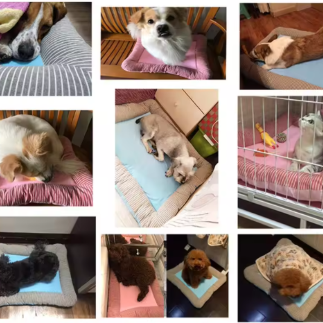 Haustier Kühlmatte für Hunde & Katzen, bietet effektive Abkühlung an heißen Sommertagen. Gelenkschonend & selbstkühlend.