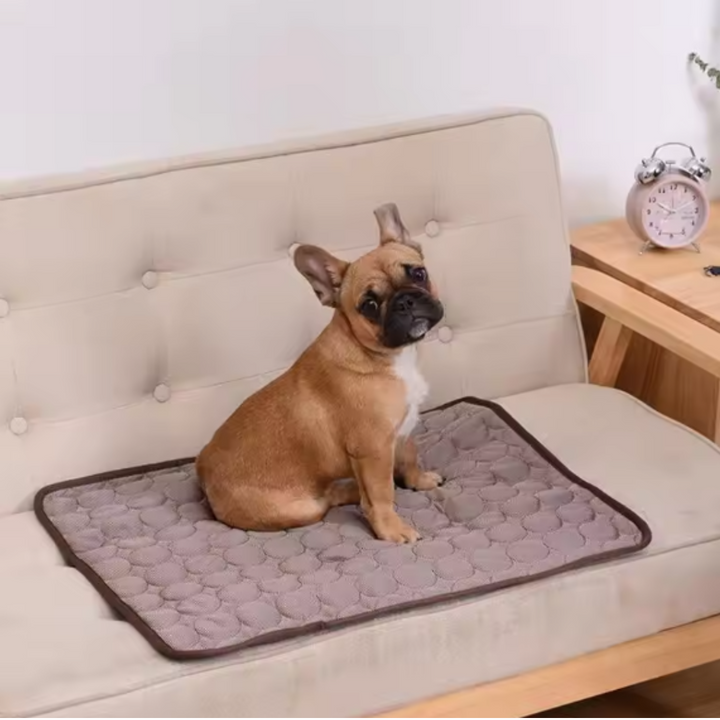 Hundekühlmatte & Katzenkühlmatte: Erfrischende Abkühlung für Haustiere an heißen Sommertagen.