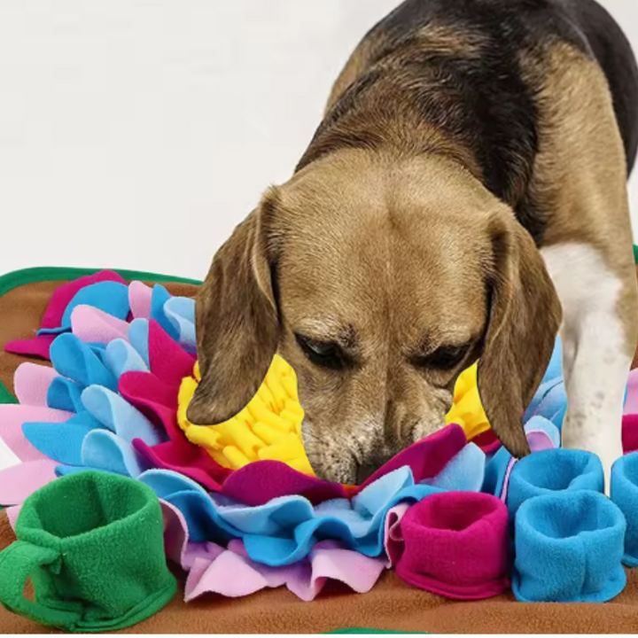 Robustes Hundespielzeug für starke Kauer & Zahnpflege. Langlebiges Kauspielzeug für intensiven Spielspaß.