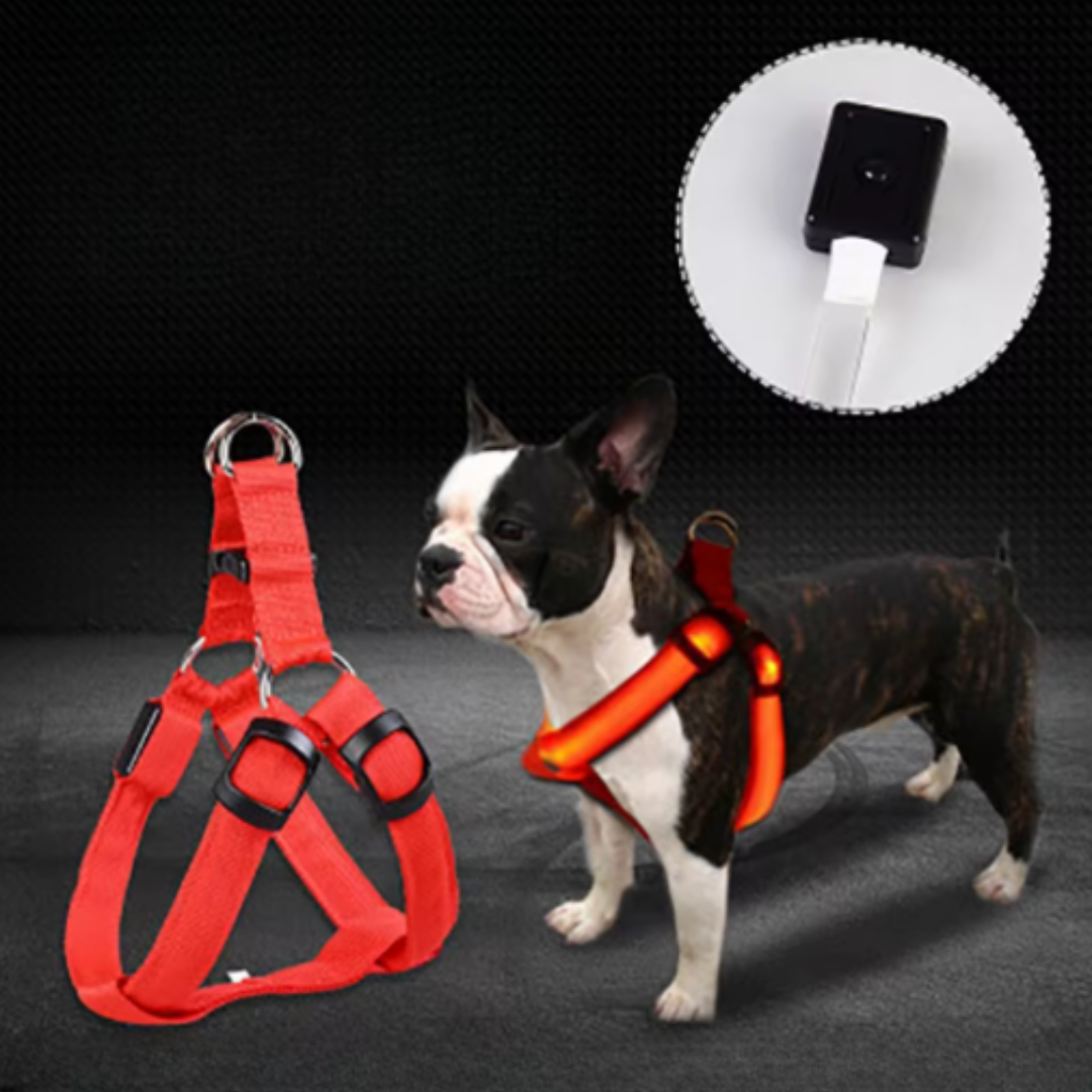 GlowSafe LED Hundegeschirr für sichere Nachtspaziergänge. Helles Leuchtgeschirr erhöht die Sichtbarkeit.