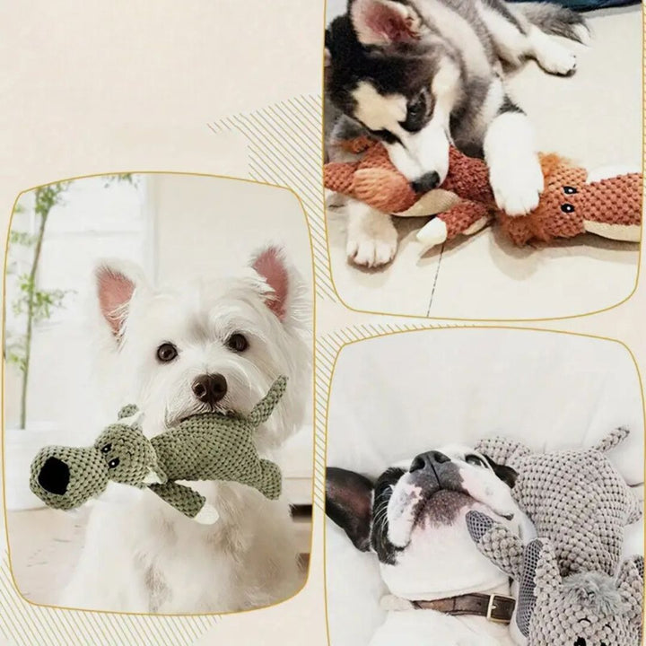 Robustes Hundespielzeug für kräftige Zähne, langlebiges Kauspielzeug zur Zahnpflege für Hunde.