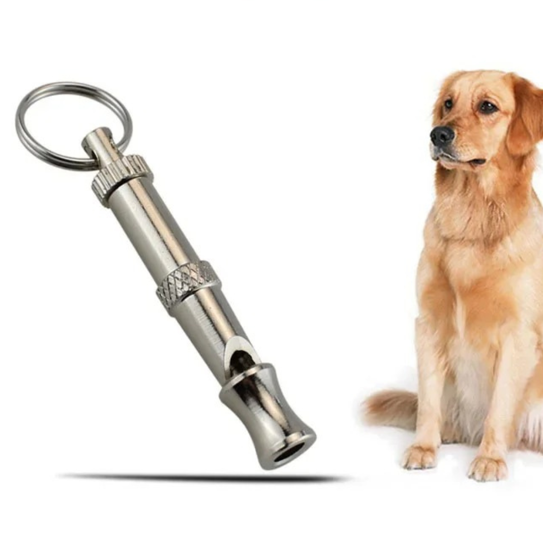 Edelstahl Hundepfeife für effektives Hundetraining & Gehorsam. Robustes Hundezubehör zur Tierpflege.