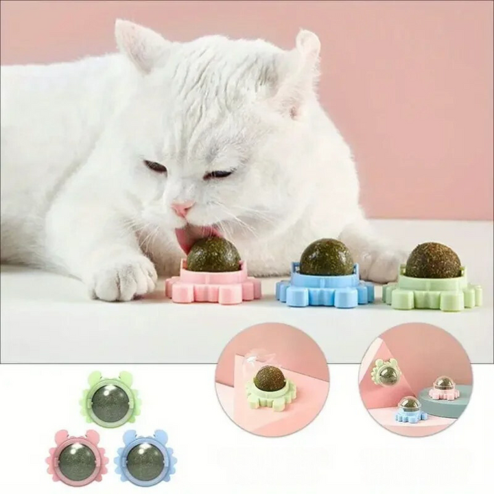 Nahaufnahme: Katzenminze-Spielball regt zum Spielen an. Fördert Bewegung, Zahnreinigung & Stressabbau bei Katzen.