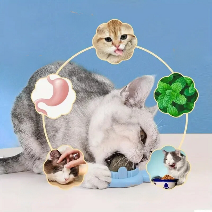 Katze spielt begeistert mit dem interaktiven Katzenminze Ball. Fördert spielerisch Bewegung, Glück & gesunde Zähne.