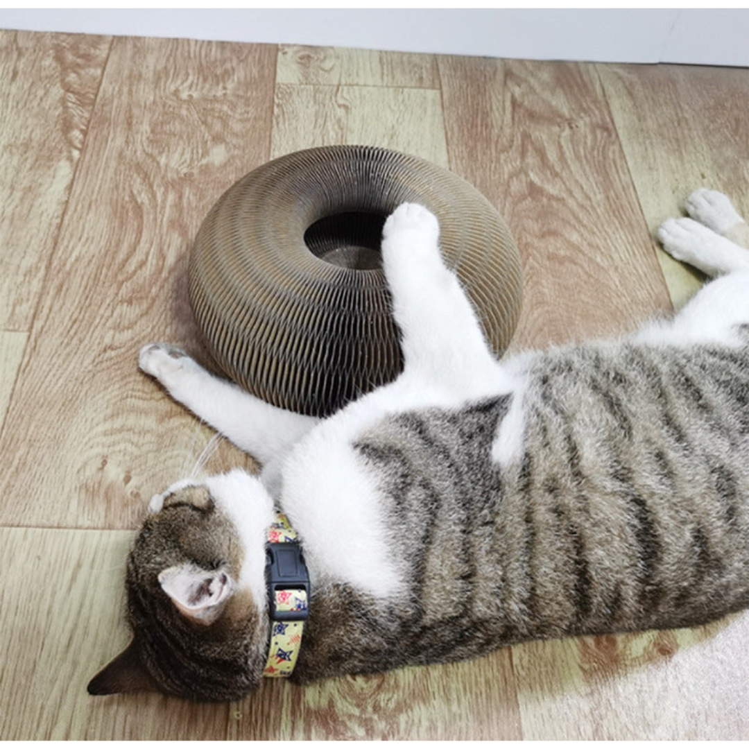 Kompaktes Katzen Kratzspielzeug mit Ball, ideal als Kratzbaum-Ersatz und zur Krallenpflege.