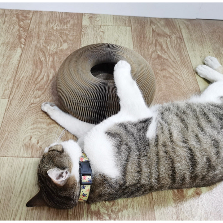 Kompaktes Katzen Kratzspielzeug mit Ball, ideal als Kratzbaum-Ersatz und zur Krallenpflege.
