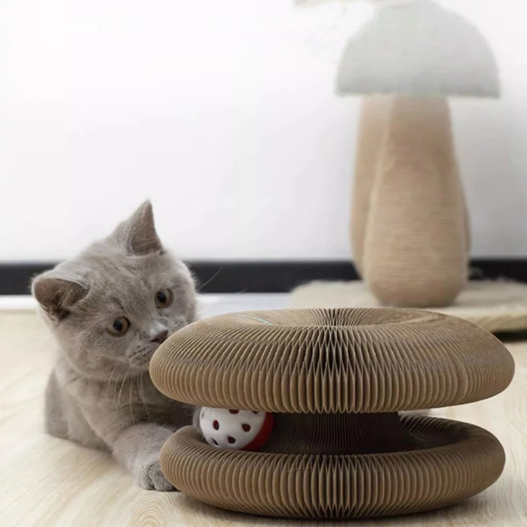 Modernes Katzen Kratz- und Ballspiel für interaktive Beschäftigung und gesunde Krallen Ihrer Katze.