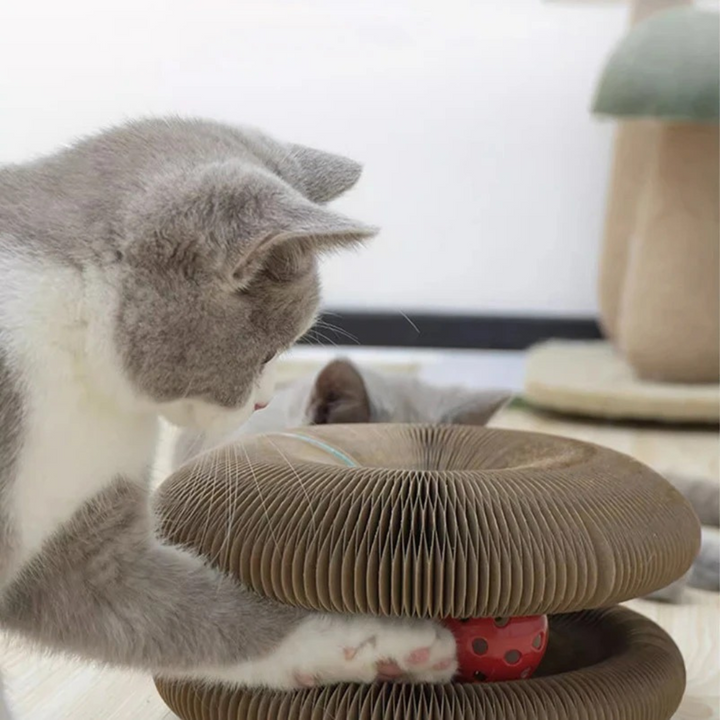 Strapazierfähiges Katzen Kratzbrett mit Ballspiel zum Schutz von Möbeln und für aktive Katzen.