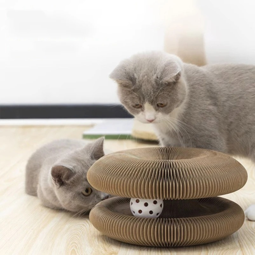 Interaktives Katzen Kratz- und Ballspielzeug für Bewegung, Krallenpflege und Spielspaß.