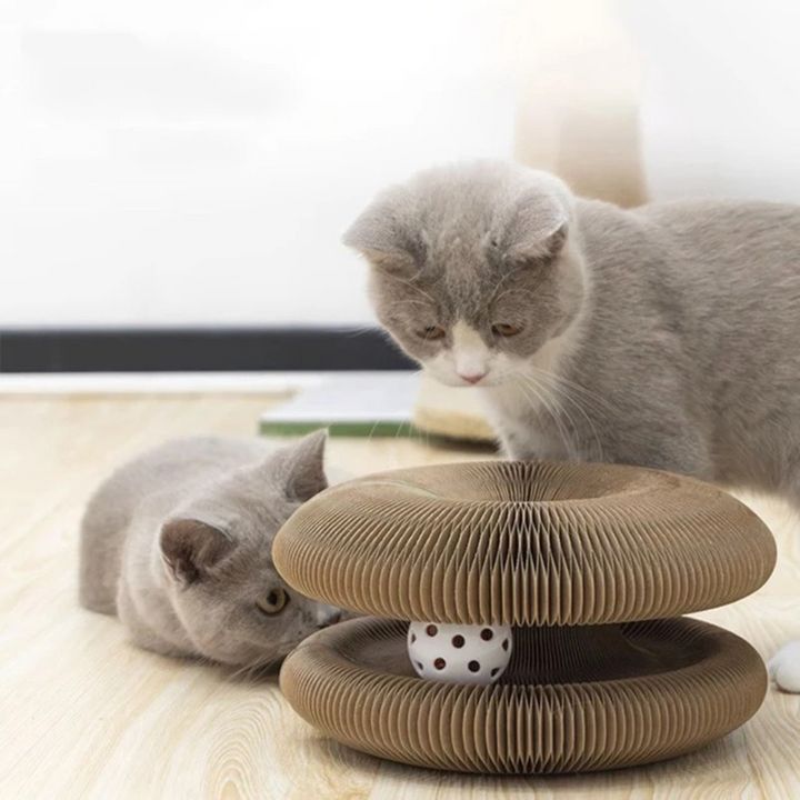 Interaktives Katzen Kratz- und Ballspielzeug für Bewegung, Krallenpflege und Spielspaß.