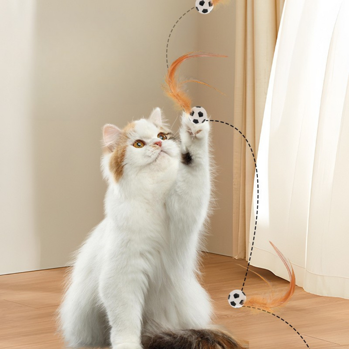 Katzenspielzeug Federball für Indoor-Aktivität. Unterstützt die körperliche & geistige Fitness Ihrer Katze.