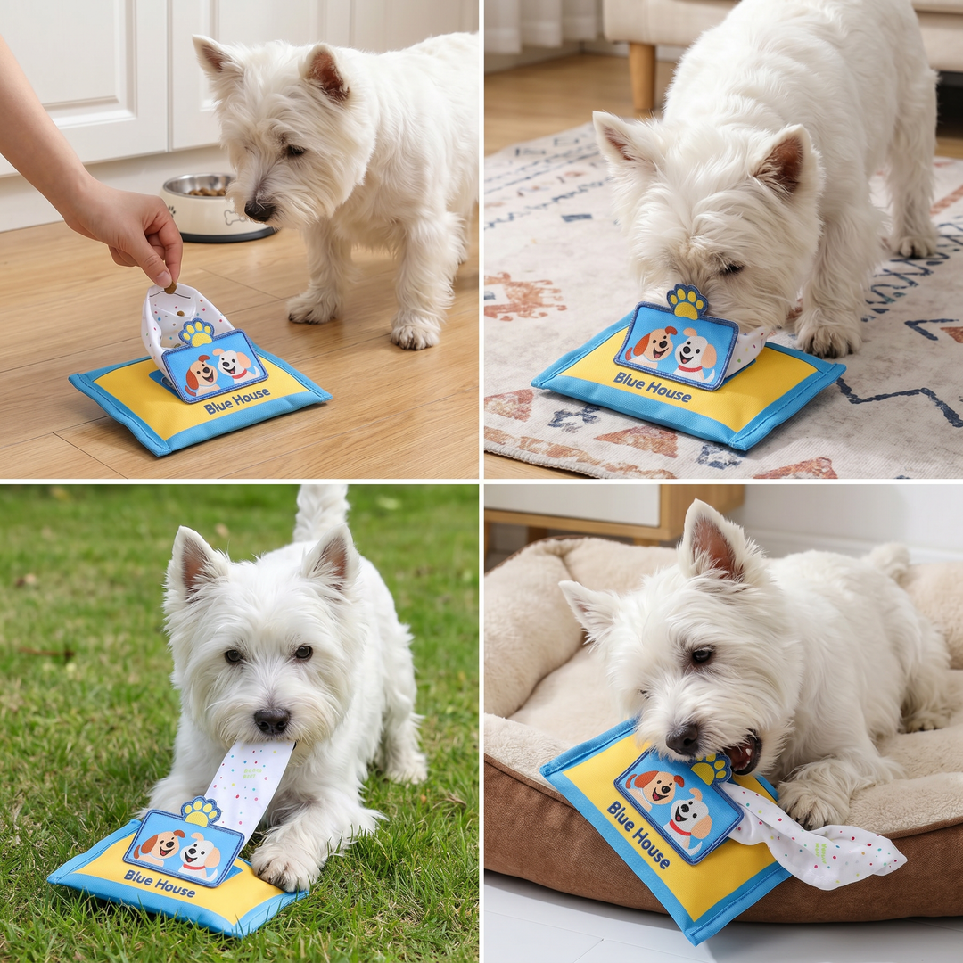 Quietsch-Hundespielzeug: Schnüffelspielzeug in Tuchbox-Optik zur mentalen Stimulation & Leckerlisuche für aktive Hunde.