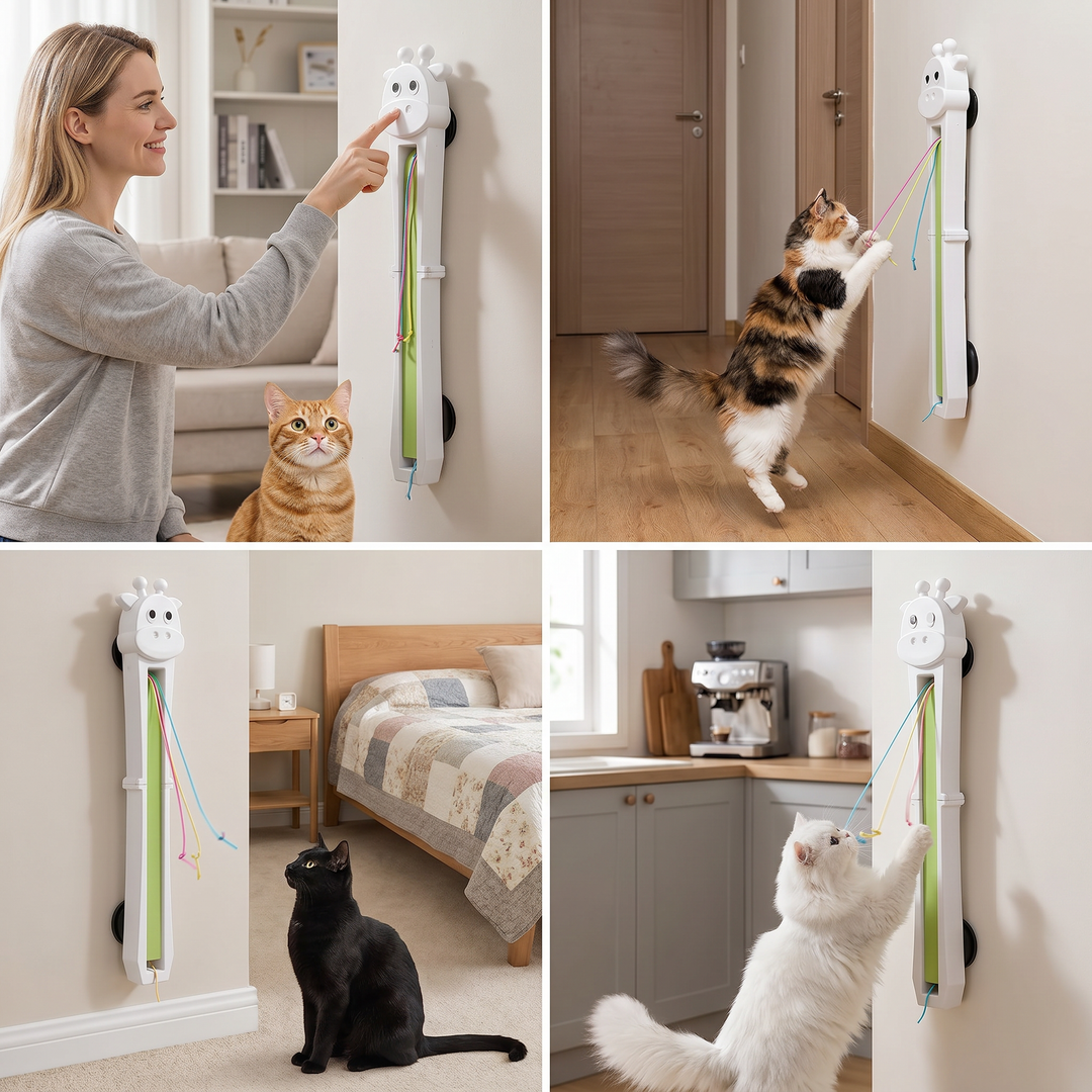 Effektives automatisches Katzenspielzeug gegen Langeweile und für mehr Bewegung bei Wohnungskatzen. Ein tolles Haustier-Gadget.