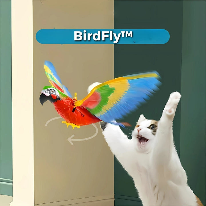 Katze spielt mit interaktivem Flattervogel. Dieses Katzenspielzeug weckt Aktivität & Spielfreude.