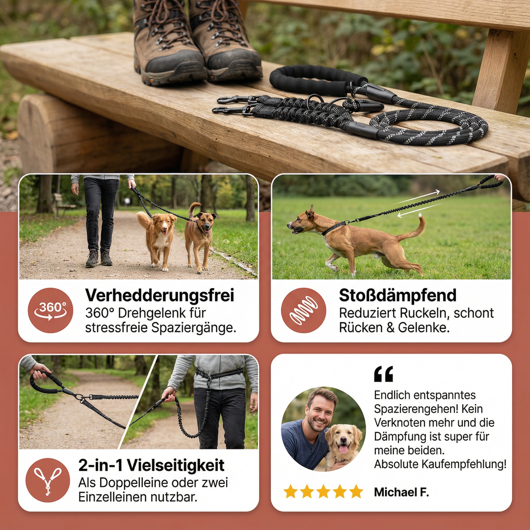 Farbige Doppelleine für Hunde, verhedderungsfrei und robust, perfekt für den täglichen Spaziergang.